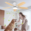 Ventilatore da Soffitto 106cm con Luce LED Silenzioso, 6 Velocità, Motore DC Reversibile, Con Telecomando e Pale Doppia Faccia per Camera, Cucina, Soggiorno